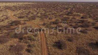 一辆敞篷后备箱的<strong>吉普车</strong>穿越纳米比亚的大草原。